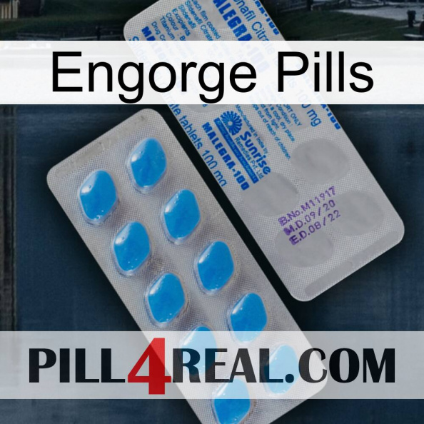 Engorge Pills new15